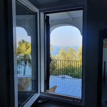 فيلة Ida Mare Relax فيكو إيكوينس